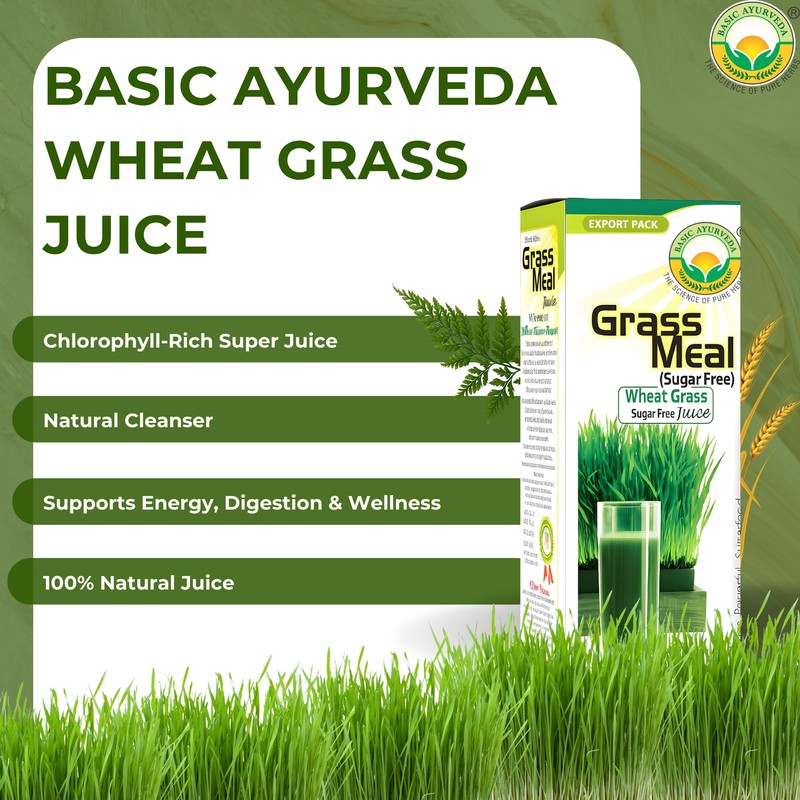 Basic Ayurveda Wheatgrass Meal Juice with No Added Sugar |