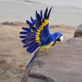 Sharplace VARIOUS Decoration Wire Christmas Model Artificial Birds Feathered, Parrot Blue, as described