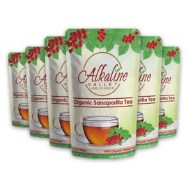 Sarsaparilla Tea - 100% Organic - 15 Unbleached/Chemical-Free Sarsaparilla Tea Bags - Pack of 6 - Caffeine-Free, No GMO …