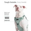 2025 New Edition, Fei & Eve Classic Dog Harness -