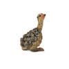 CollectA Ostrich Chick - Sitting