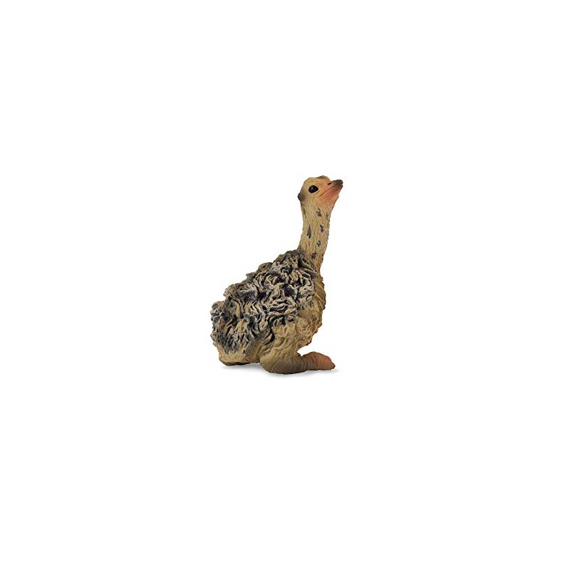 CollectA Ostrich Chick - Sitting