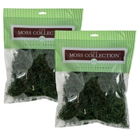 Preserved Spanish Moss - Premium Decorative Moss for Crafts, Home Décor, Art, Design & DIY Projects - Real Moss - Non-Toxic, USA-Made (Forest Green, Medium, 2-Pack)
