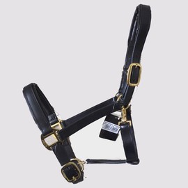 Gallop Economy Leather Padded Headcollar, Cob Size, Black