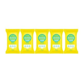 Arial The Perfect Cleansing Tissue Plus 20 Sheets 5 Portable Mini Bulk / 아리얼 더 퍼펙트 클렌징 티슈 플러스 20매 5개 휴대용 미니 대량