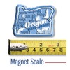 Oregon Premium State Magnet by Classic Magnets, 2.5" x 1.9",