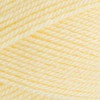Stylecraft Knitting Yarn/Wool 100g Ball for Knit & Crochet, DK