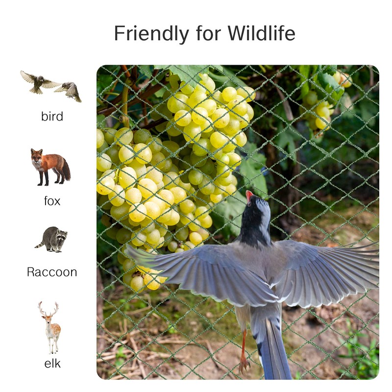 Anti Bird Netting for Garden Woven Mesh - Heavy Duty