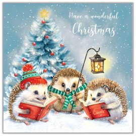Noel Tatt Charity Christmas Cards Pack of 10 - Charity Christmas Cards with Hedgehogs and Festive Tree Design - Eco-Friendly Xmas Cards Multipack with Envelopes