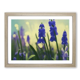 Bluebell Flower Painting Vol.3 H1022 Framed Print for Living Room Bedroom Home Office Décor, Wall Art Picture Ready to Hang, Oak A4 Frame (34 x 25 cm)
