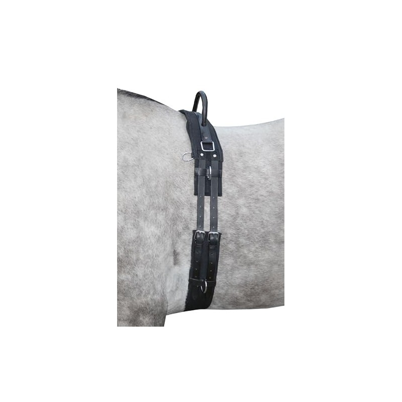 HKM Lunging girth 1795 lunging belt Black Pony