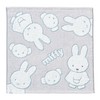 Nishikawa XT34708631 Miffy Wash Towel, 13.4 x 13.8 inches (34