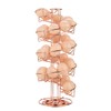 Toplife Spiral Design Metal Egg Skelter Dispenser Rack, Storage Display