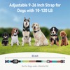 2-in-1 Safe Dogs Bark & Shock Collar with Remote Control