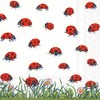Celebrate The Home Frühjahr/Sommer 3-lagig Servietten, aus Papier, 20-count, Hustle