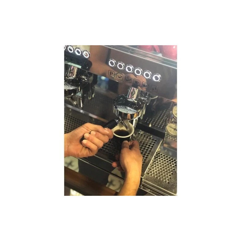 Gaggia Espresso Machine Decalcifier 8.45 Fl Oz Pack of 2