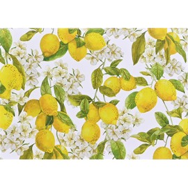 Amalfi Lemons Note Cards (14 cards, 15 self-sealing envelopes)