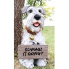 Adorable Grey Schnauzer Dog Sitting With Jingle Collar Greetings Sign