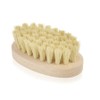 Truffle Brush by InterGourmandise - Essential Tool for Preparing and