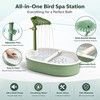 Indoor Bird Bath Fountain with Leaf Rainfall Shower, Adjustable Water