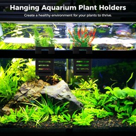 8 Pack Aquarium Plant Holder with Hooks and Suction Cups, Hanging Rimmed Tank Plant Pot Aquarium Planter Cups, Aquatic Planter Cups for Fish Tank Aquaponic Aquascape Decoration