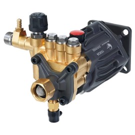 Canpump CH 2830 G: 2800 psi @ 3 US gpm Pressure Washer Replacement Pump, 3/4-inch Horizontal Gas Shaft