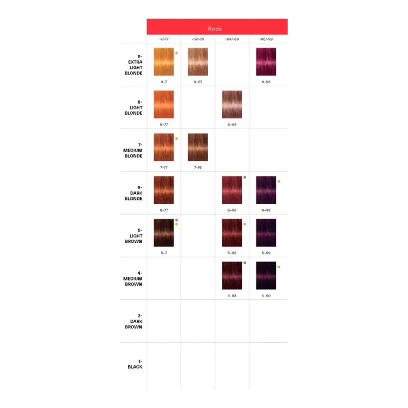 Tinte Igora Royal Schwarzkopf Tono 6-77