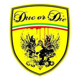 Two-phase controller for older Ducatis MosFet LiFePO for Ducati