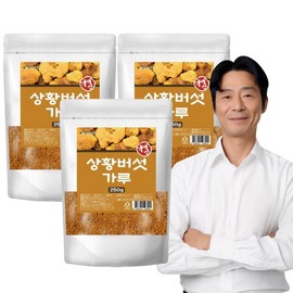 Mom's son Domestic Sanghwang mushroom powder 250g, 3 pieces / 국산 상황버섯분말 가루 250g, 3개