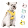 Fapayeep Dog Harness - X Shape Dog Leash Pulling Prevention