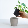AND PLANTS Pot Cover, No. 3, For Stylish Interior with