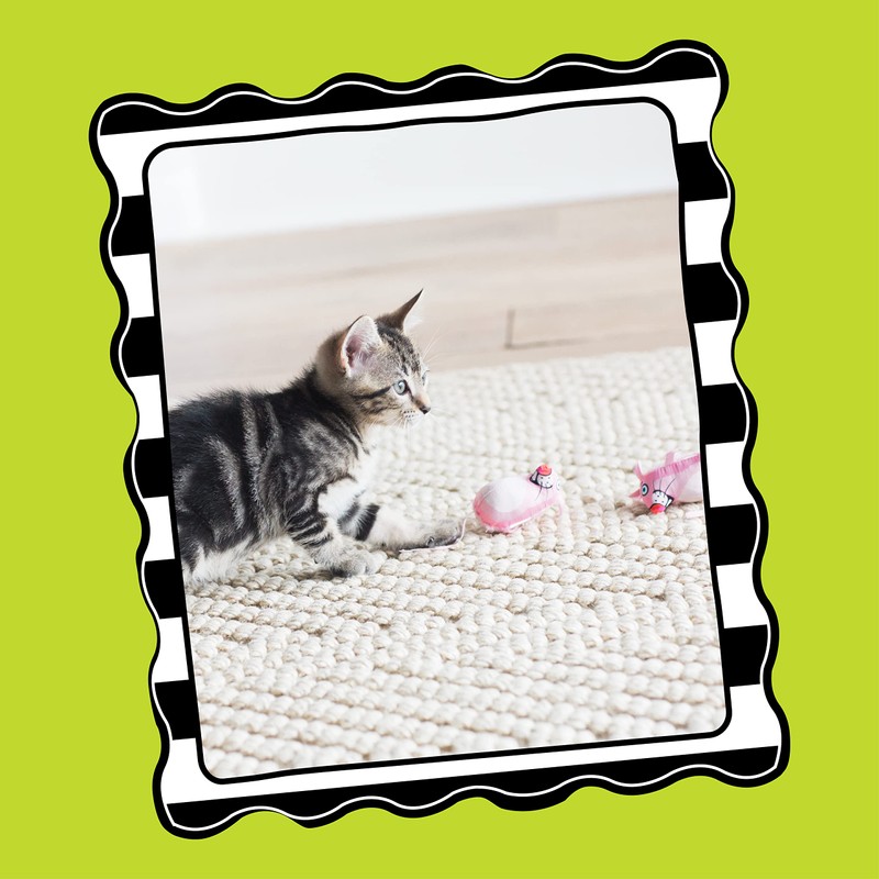 Pet Mate Fat Cat Classic Eeeks Flower Toy