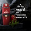Old Spice Red Collection Swagger Scent with Cedarwood, Men's Body