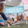 Coachi Puppy & Mini Whizzclick - 2-in-1 Combined Clicker and