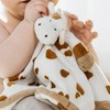 Teddykompaniet Diinglisar Lovely Pet Cow Unisex Plush Fleece Baby Blanket