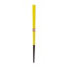 若狭 Painted The Traditional Color Chopsticks 蒲公英 Colors (Bottle, –