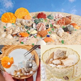 HAPYSHOOP Mixed Sea Shells, 120 Pcs Beach Seashells, Various Sizes Natural Seashells Starfish with Decorative Accessories for Beach Theme Party DIY Crafts Vase Fillers Home Decorations
