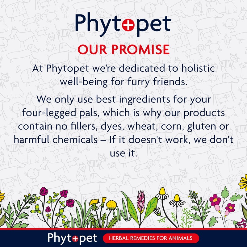 Phytopet Wormwood Complex, All Natural Pet Remedy Intestinal Hygiene, Health