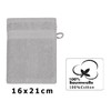 Wash Mitt "Premium" silver grey, 17 x 22 cm, quality