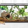HERCOCCI Reptile Vines, Flexible Jungle Climbing Vines Terrarium Plastic Plants