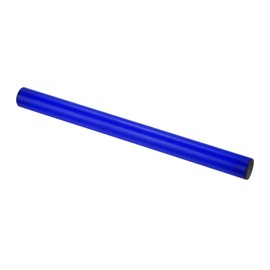 PATIKIL Junior Relay Truck Baton Plastic Race Field Running Stick Outdoor Athletics Sports Game Tool Blue