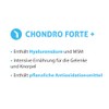 EMINENT Supplements Chondro Forte+ | Dog Supplements for Proper Function