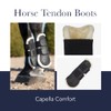 LeMieux Capella Comfort Horse Tendon Boots - Protective Gear and