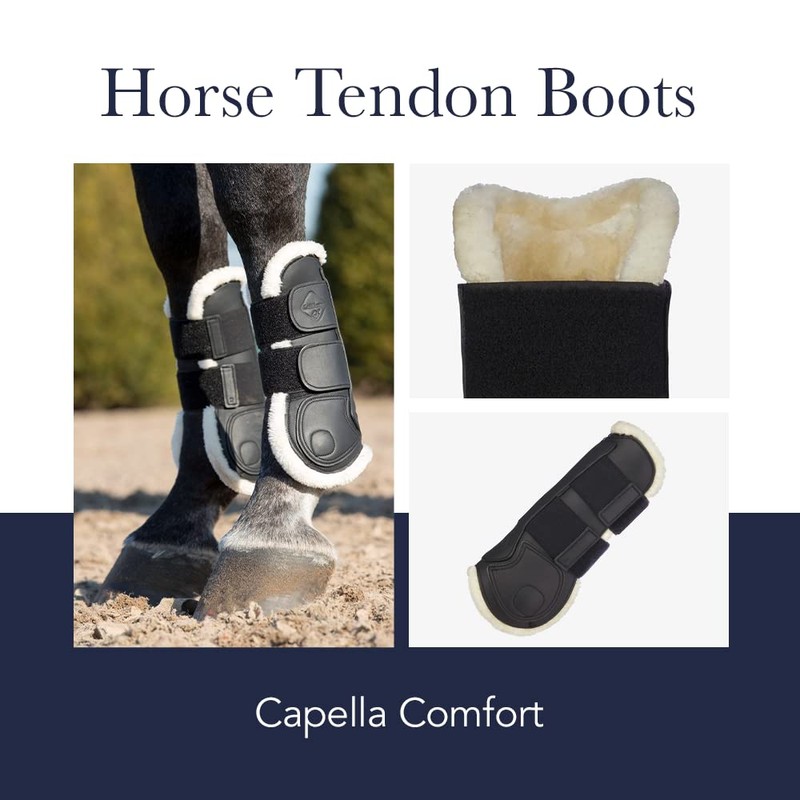 LeMieux Capella Comfort Horse Tendon Boots - Protective Gear and