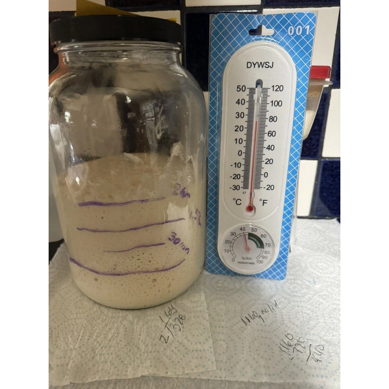 ZOURDOUGH SOURDOUGH The Apostle sourdough starter yeast New Release for
