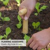 1 Piece Stainless Steel Seeder Seeder Seeding Tools Planting Tools