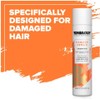Toni & Guy Shampoo for Damaged Hair, 8.5 oz