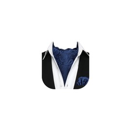 HISDERN Ascot Ties for Men Navy Blue Paisley Cravat Tie and Pocket Square Set Floral Mens Ascot Scarf Handkerchief Wedding Party