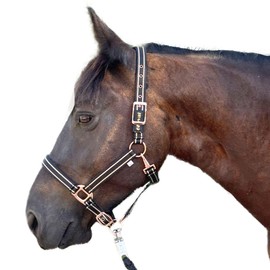 Halter for Horses with Glitter in Rose Gold, Halter Horse in Black and Pink, 2-Way Adjustable (Black Rose Gold, Shetland Pony (Shetty))