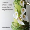 Satin Ice White Gum Paste, 4.4 Ounces